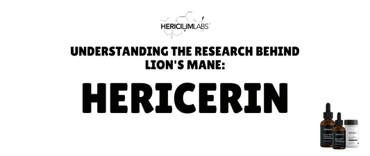 Understanding the research behind Lion's Mane: Hericerin