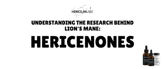 Understanding the research behind Lion's Mane: Hericenones