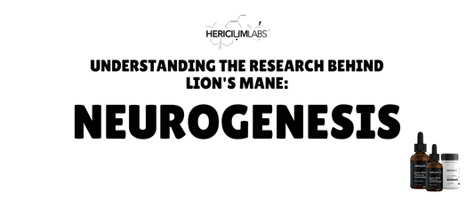 Understanding the research behind Lion's Mane: Neurogenesis