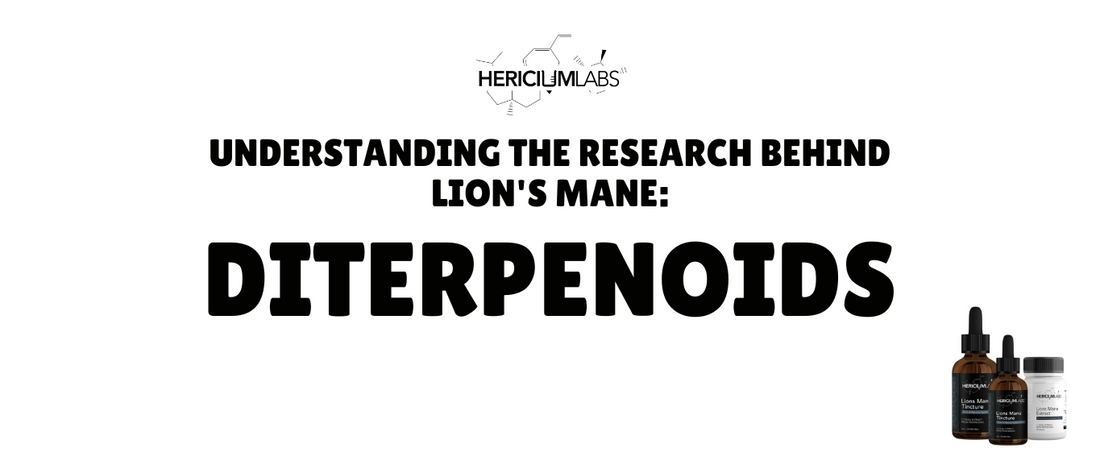 Understanding the research behind Lion's Mane: Diterpenoids