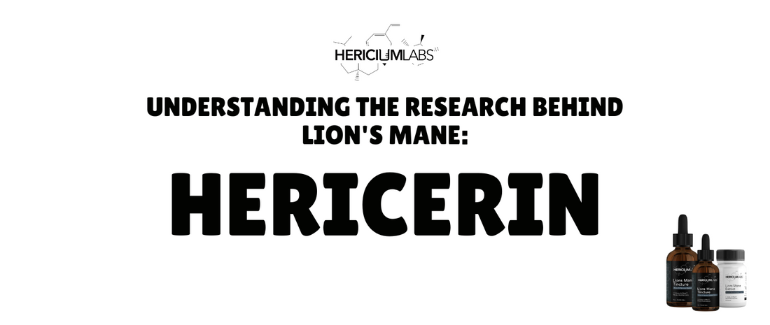 Understanding the research behind Lion's Mane: Hericerin