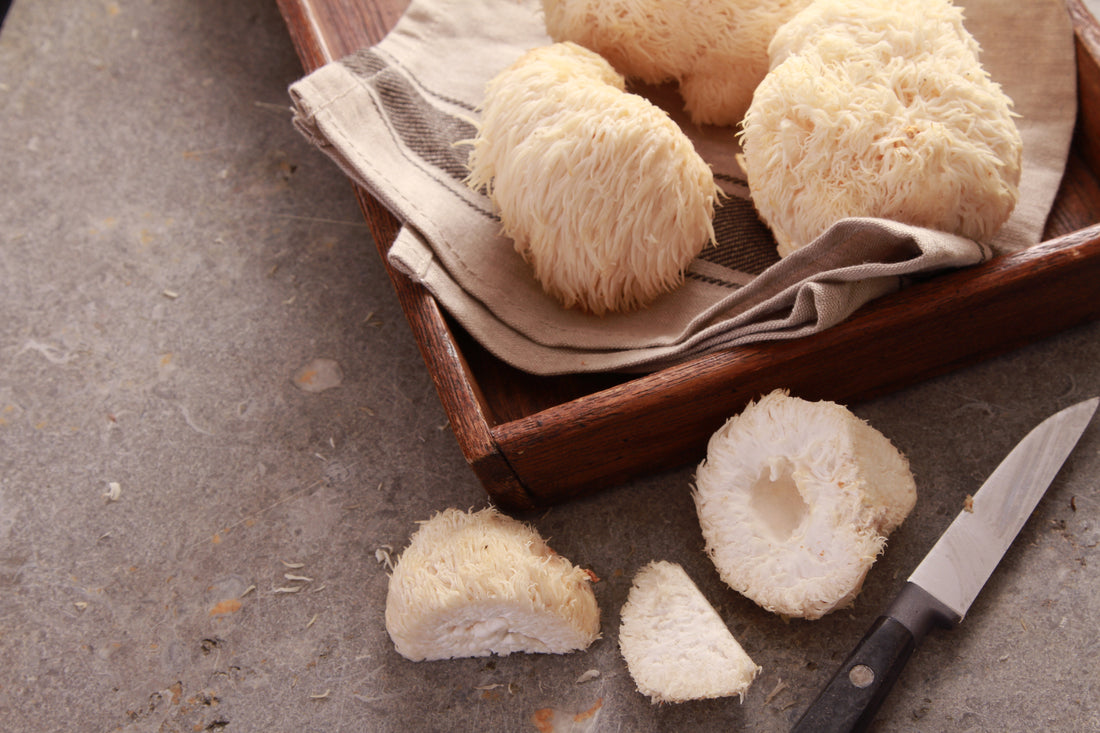Lion's Mane Mushrooms vs Lion's Mane Supplements (Which one's better?)